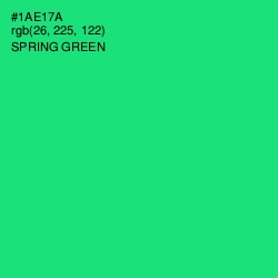 #1AE17A - Spring Green Color Image
