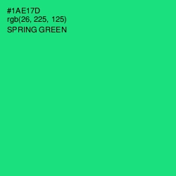 #1AE17D - Spring Green Color Image