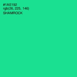 #1AE192 - Shamrock Color Image