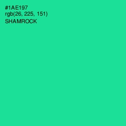 #1AE197 - Shamrock Color Image