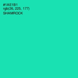 #1AE1B1 - Shamrock Color Image