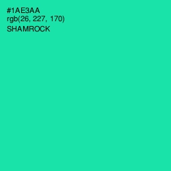 #1AE3AA - Shamrock Color Image