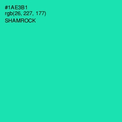 #1AE3B1 - Shamrock Color Image