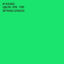 #1AE46D - Spring Green Color Image