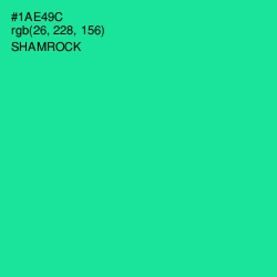 #1AE49C - Shamrock Color Image