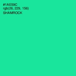 #1AE59C - Shamrock Color Image