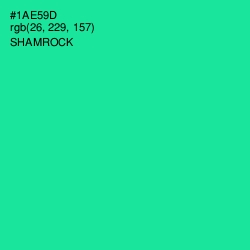 #1AE59D - Shamrock Color Image