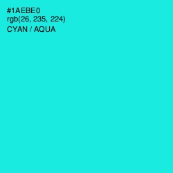 #1AEBE0 - Cyan / Aqua Color Image