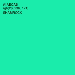 #1AECAB - Shamrock Color Image