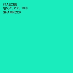 #1AECBE - Shamrock Color Image