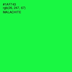 #1AF743 - Malachite Color Image