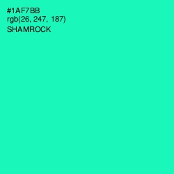 #1AF7BB - Shamrock Color Image