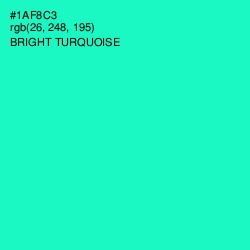 #1AF8C3 - Bright Turquoise Color Image