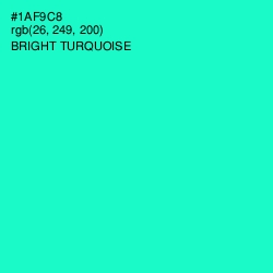 #1AF9C8 - Bright Turquoise Color Image