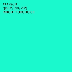 #1AF9CD - Bright Turquoise Color Image