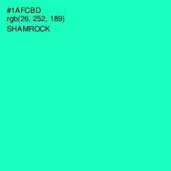 #1AFCBD - Shamrock Color Image