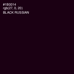 #1B0014 - Black Russian Color Image