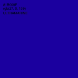 #1B009F - Ultramarine Color Image