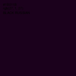 #1B011B - Black Russian Color Image