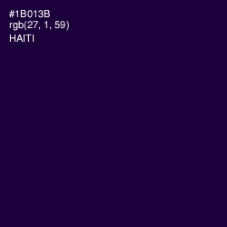 #1B013B - Haiti Color Image