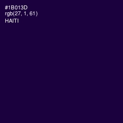 #1B013D - Haiti Color Image