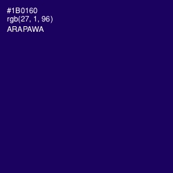 #1B0160 - Arapawa Color Image