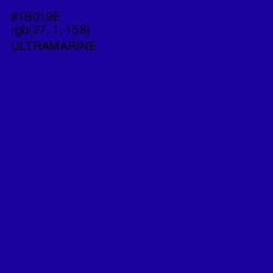 #1B019E - Ultramarine Color Image