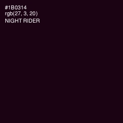 #1B0314 - Night Rider Color Image