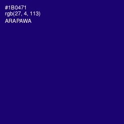 #1B0471 - Arapawa Color Image