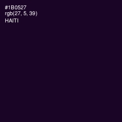 #1B0527 - Haiti Color Image