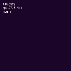 #1B0529 - Haiti Color Image