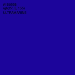 #1B059B - Ultramarine Color Image