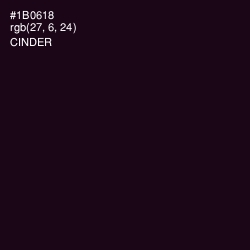 #1B0618 - Cinder Color Image
