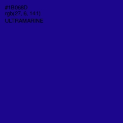 #1B068D - Ultramarine Color Image