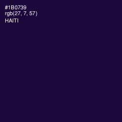 #1B0739 - Haiti Color Image