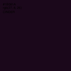 #1B081A - Cinder Color Image