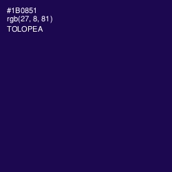 #1B0851 - Tolopea Color Image