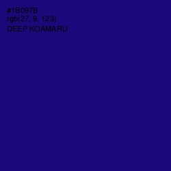 #1B097B - Deep Koamaru Color Image