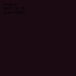 #1B0A12 - Night Rider Color Image