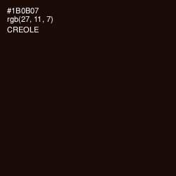 #1B0B07 - Creole Color Image