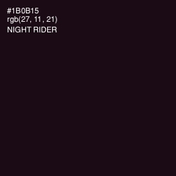 #1B0B15 - Night Rider Color Image