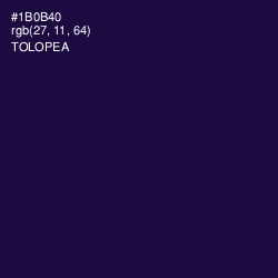 #1B0B40 - Tolopea Color Image