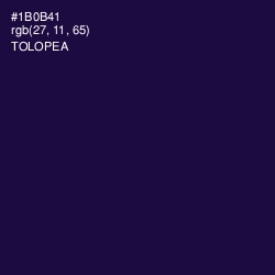 #1B0B41 - Tolopea Color Image