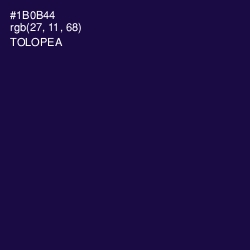 #1B0B44 - Tolopea Color Image