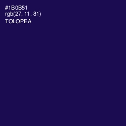 #1B0B51 - Tolopea Color Image