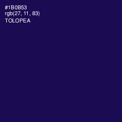 #1B0B53 - Tolopea Color Image