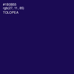 #1B0B55 - Tolopea Color Image