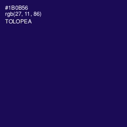 #1B0B56 - Tolopea Color Image