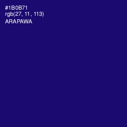 #1B0B71 - Arapawa Color Image