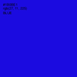 #1B0BE1 - Blue Color Image